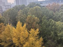 -芦月轩羊蝎子(劲松店)