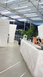 -BOF HAIR BY HONTO