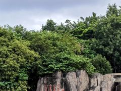 -神光山国家森林公园