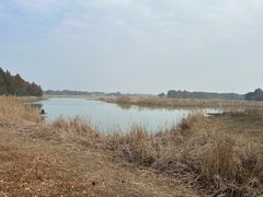 -贡湖湾湿地公园