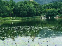 -灵山胜境