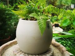 -茶肆(仙林店)