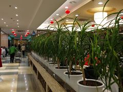 -椿记烧鹅(北门店)
