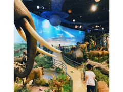 -陕西自然博物馆