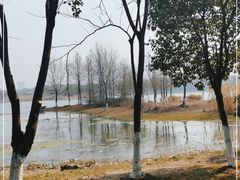 -长广溪湿地公园