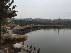 -枫香湖儿童公园