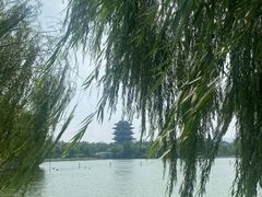 -济南大明湖景区