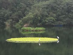 -重庆彩云湖湿地公园