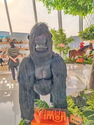 -IMON·HANSA潮玩玩偶毛绒玩具(通州万象汇店)