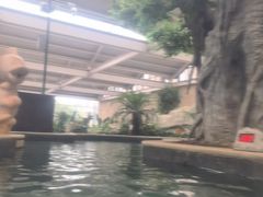 -太白山御龙湾温泉