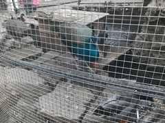 -爱德堡西餐咖啡吧(北师大店)