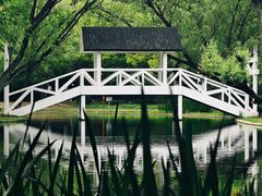 -上海共青森林公园