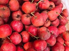 -香木香羊(小汤山店)