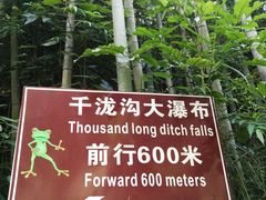 -千泷沟大瀑布旅游区