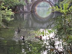 -西湖外事游船(花港观鱼码头)