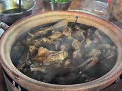 -霞姐屯昌枫木香草鸭店(海螺店)