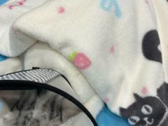 -伟伟宠物医院·CT影像中心·瑞派犬猫综合性门诊(汉口总院)