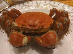 -王宝和酒家(黄浦店)