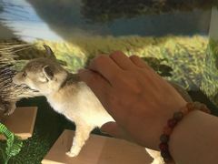 -下渚湖国家湿地公园科普馆