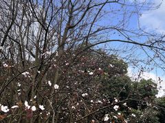 -重庆和泰马术俱乐部