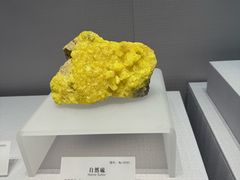 -湖南省地质博物馆