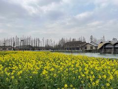 -乌村
