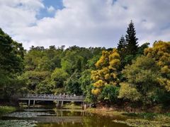 -深圳国际园林花卉博览园