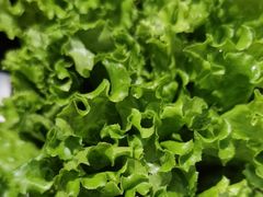 -掂档潮汕牛肉火锅(cityon熙地港店)