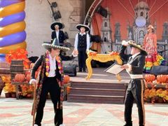 -大连海昌发现王国主题公园