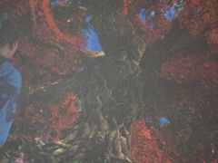 -济南方特东方神画