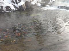 -水磨沟公园