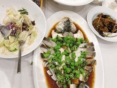 -老吉士酒家(丁香国际店)