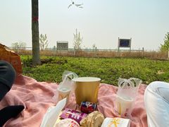 -麦当劳(正定瑞天店)