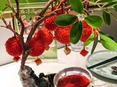 -奔跑吧陕菜·盛世长安(民乐园万达店)