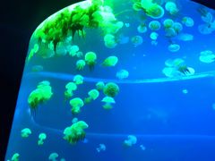 -福州罗源湾海洋世界旅游区