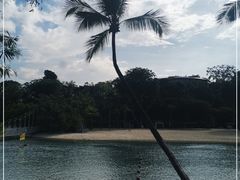 -巴拉湾海滩
