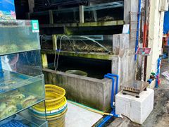 -鸿港海鲜批发市场