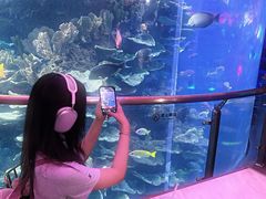 -泉城欧乐堡海洋极地世界