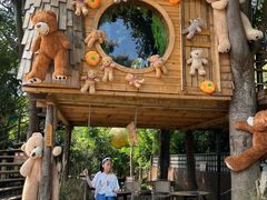 -雄楚国际大酒店-四季西餐厅