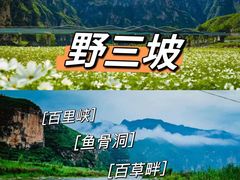 -野三坡百里峡景区