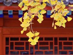 -北京石刻艺术博物馆(五塔寺)