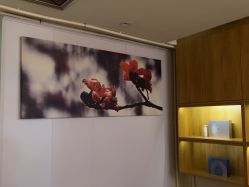 -丝域养发馆