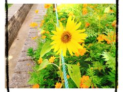 -钟山体育运动公园