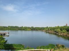 -西安浐灞国家湿地公园
