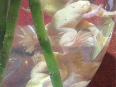 -情忆草原涮肉馆