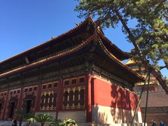 -普乐寺