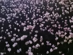 -眉山湿地公园(东坡区)