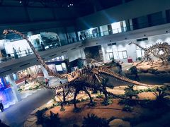 -自贡恐龙博物馆