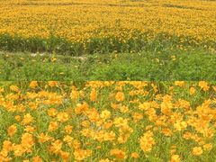 -歌斐颂巧克力小镇