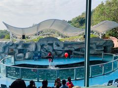 -泉州海丝野生动物世界